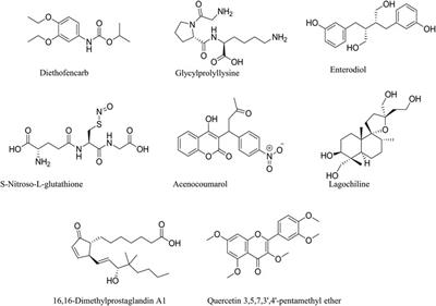 Evaluation of the Hypoglycemic Activity of Morchella conica by Targeting Protein Tyrosine Phosphatase 1B